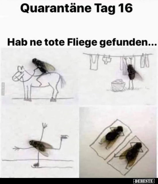 Quarantäne Tag 16... | Lustige Bilder, Sprüche, Witze, Echt Lustig 638_x_550_jpg
