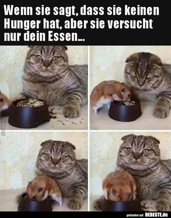 Wenn Sie Sagt, Dass Sie Keinen Hunger Hat, Aber.. | Lustige Bilder, Sprüche, Witze, Echt Lustig 698_x_550_jpg