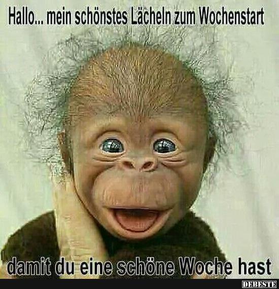 Hallo.. mein schönstes Lächeln zum Wochenstart.. | Lustige Bilder, Sprüche, Witze, echt lustig