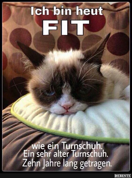 Ich bin heut FIT.. | Lustige Bilder, Sprüche, Witze, echt lustig
