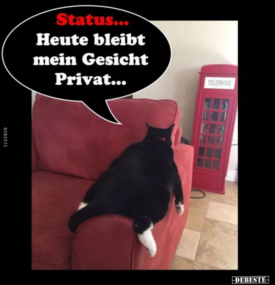 Status... Heute Bleibt Mein Gesicht Privat... | Lustige Bilder, Sprüche, Witze, Echt Lustig 570_x_550_jpg