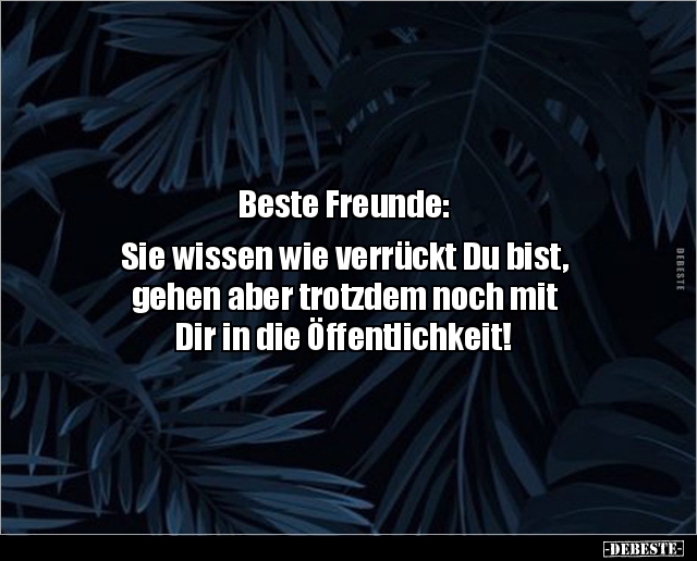 Beste Freunde Sie Wissen Wie Verruckt Du Bist Lustige Bilder Spruche Witze Echt Lustig