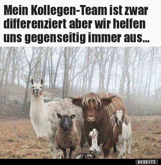 Mein Kollegen Team Ist Zwar Differenziert Aber Wir Helfen Lustige Bilder Spruche Witze Echt Lustig