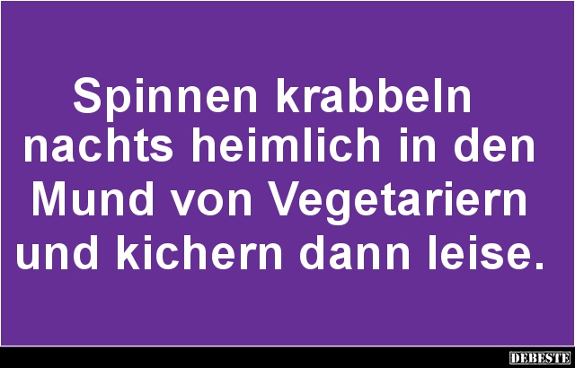 Spinnen Krabbeln Nachts Heimlich.. | Lustige Bilder, Sprüche, Witze, Echt Lustig 410_x_640_jpg