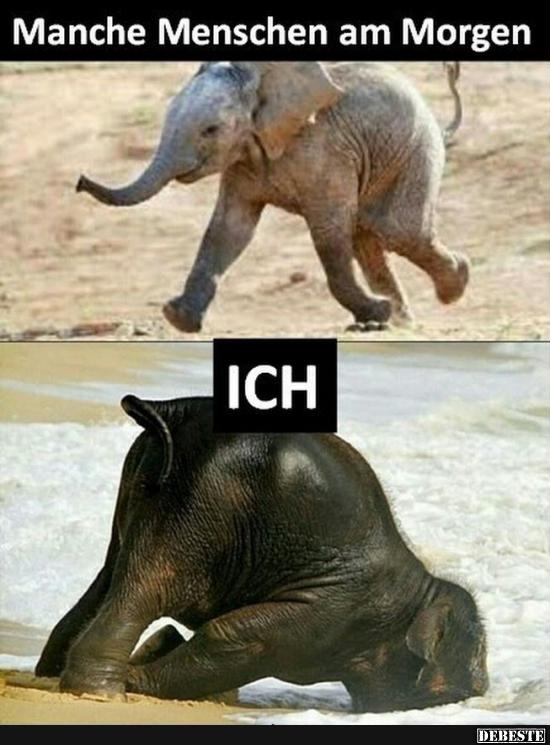 Manche Menschen am Morgen.. / Ich. | Lustige Bilder, Sprüche, Witze, echt lustig