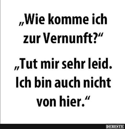 Wie Komme Ich Zur Vernunft? | Lustige Bilder, Sprüche, Witze, Echt Lustig 496_x_480_jpg