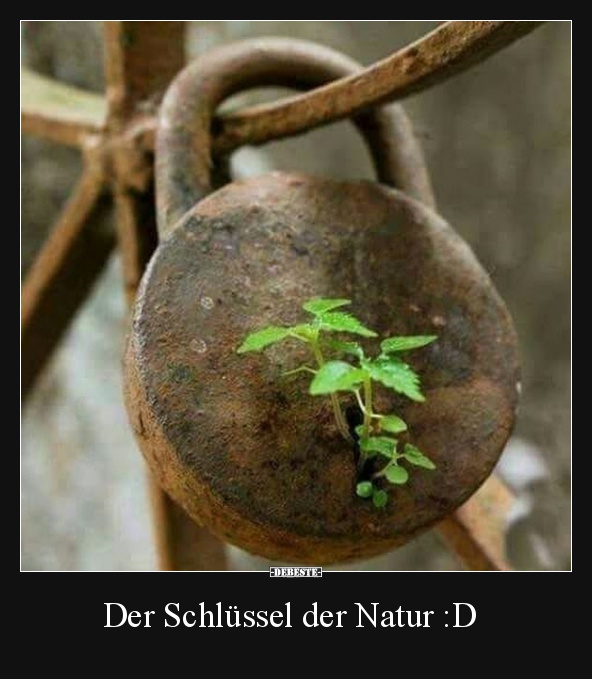 Der Schlussel Der Natur D Lustige Bilder Spruche Witze Echt Lustig