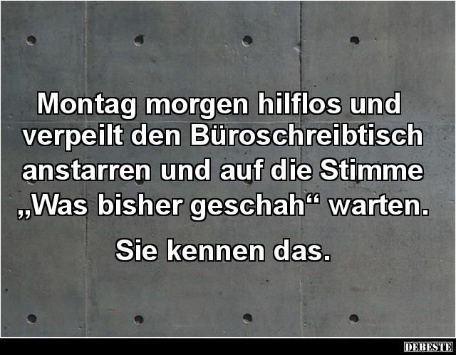 Montag Morgen Hilflos Und Verpeilt Den.. | Lustige Bilder, Sprüche, Witze, Echt Lustig 498_x_640_jpg