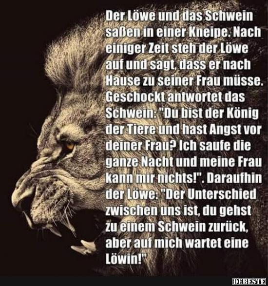 Der Lowe Und Das Schwein Sassen In Einer Kneipe Lustige Bilder Spruche Witze Echt Lustig