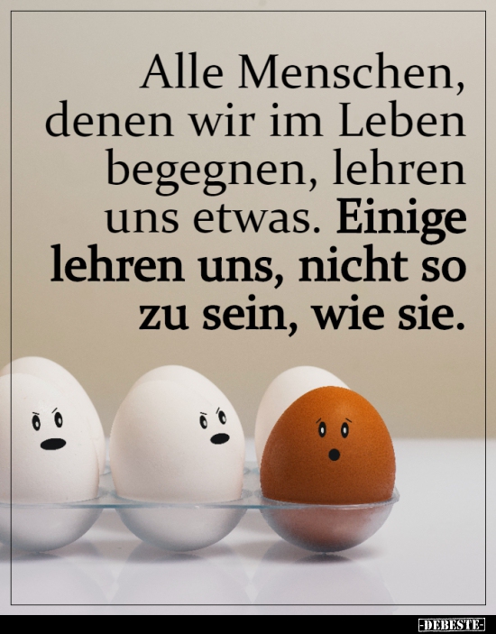 Alle Menschen, Denen Wir Im Leben Begegnen, Lehren Uns.. | Lustige Bilder, Sprüche, Witze, Echt Lustig 703_x_550_png
