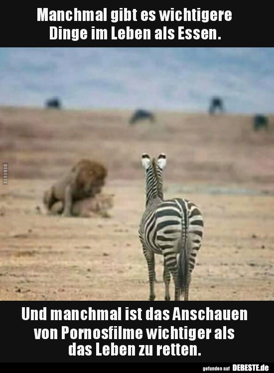 Manchmal gibt es wichtigere Dinge im Leben als Essen.. | Lustige Bilder, Sprüche, Witze, echt lustig