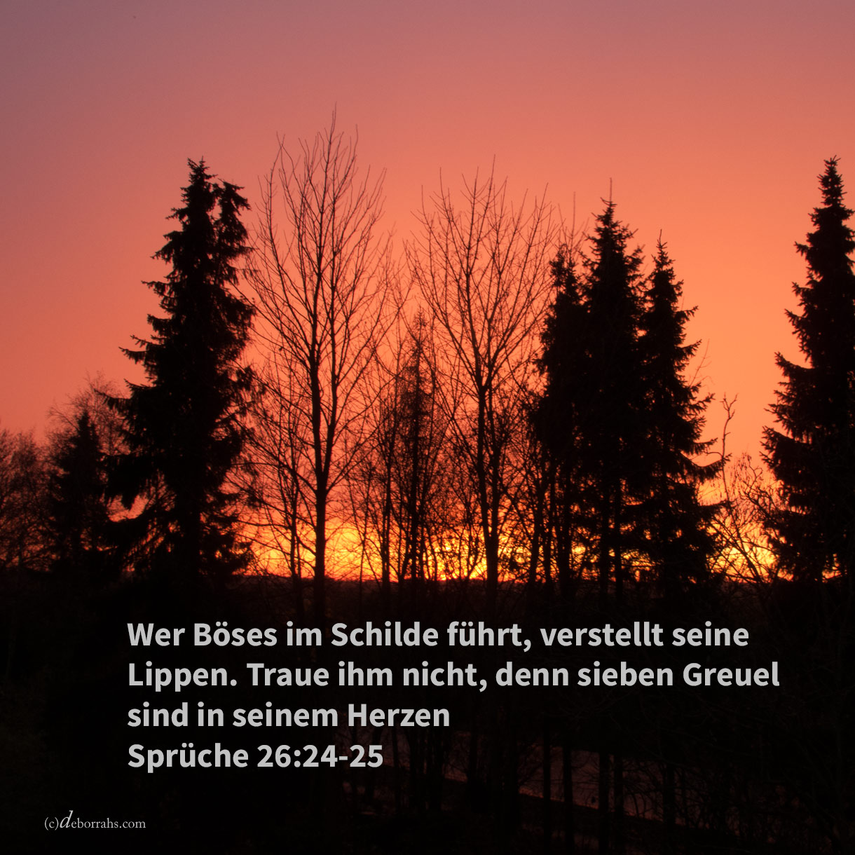 Sonnenuntergang Deborrah S