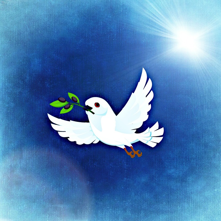 Stopping The Violence - Deltassist Family And Community Services Societydeltassist Family And Community Services Society 720_X_720_jpg