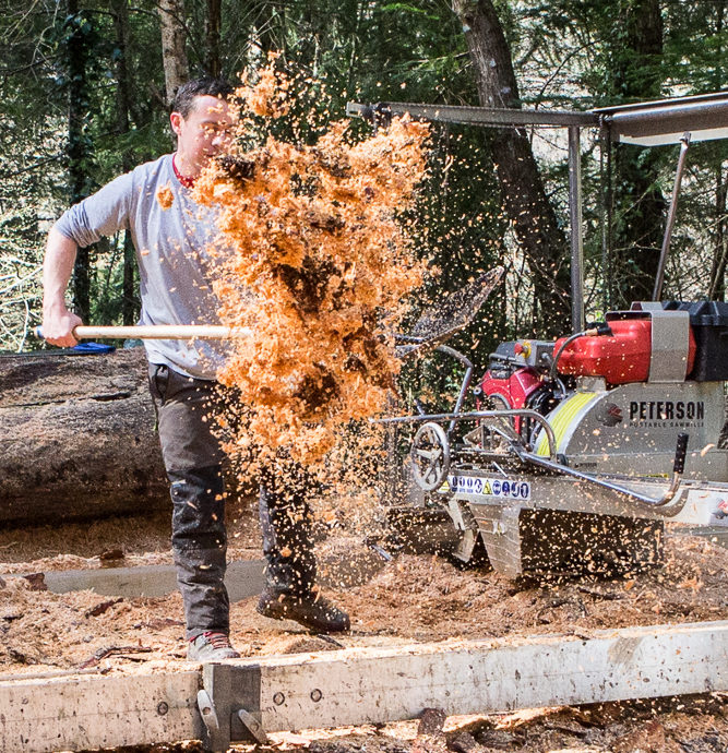 All 32+ Photos what to do with sawdust from sawmill Excellent