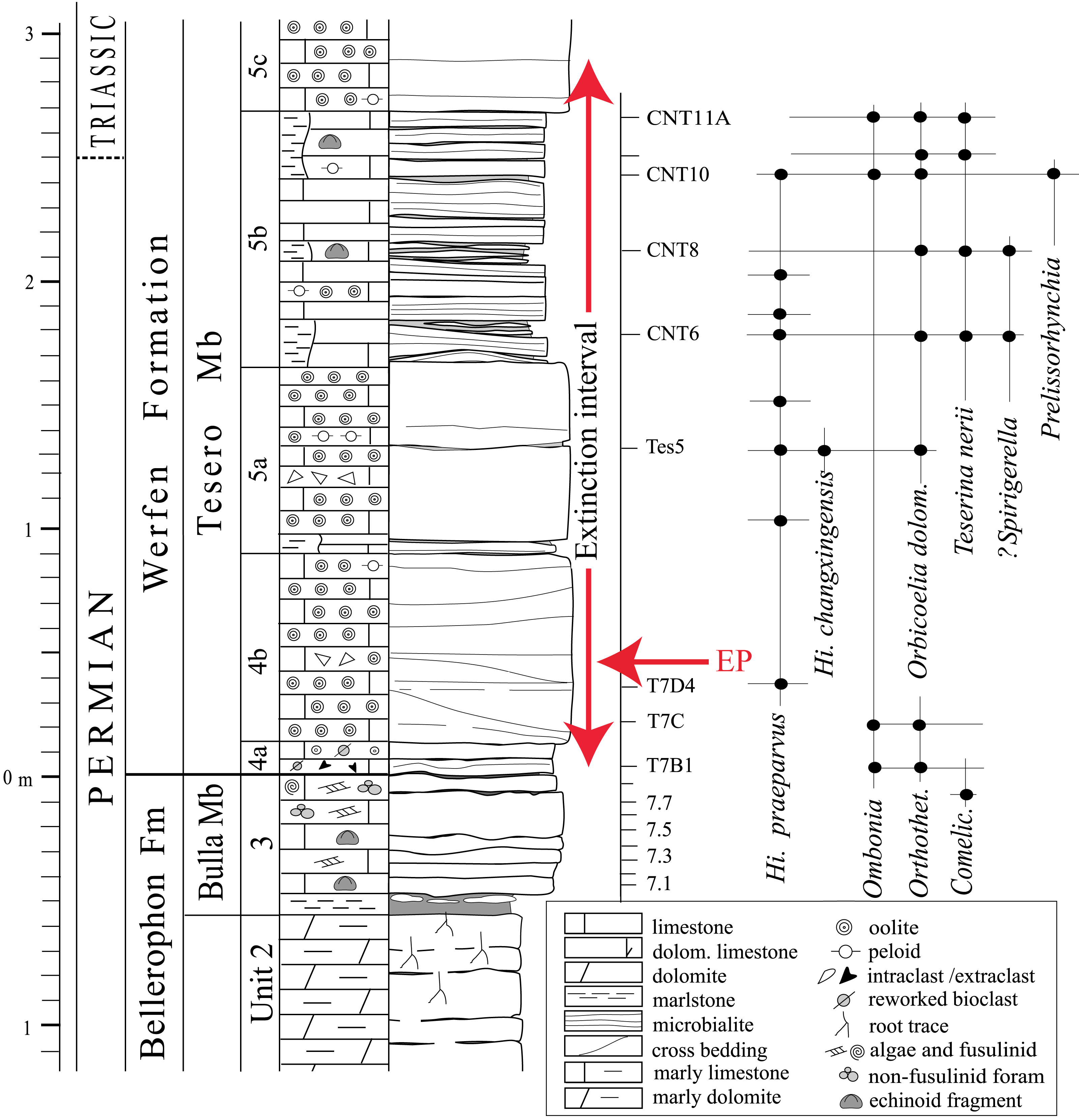 Echinoids From The Tesero Member (Werfen Formation) Of The Dolomites (Italy): Implications For Extinction And Survival Of Echinoids In The Aftermath Of The End-Permian Mass Extinction [Peerj] 3323_x_3200_png