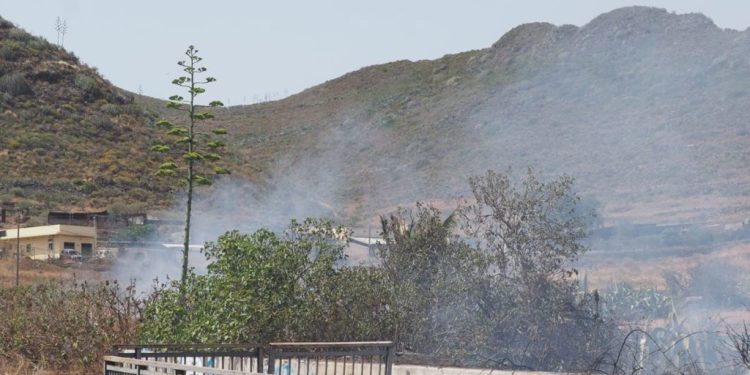 Fire in Tenerife: A Vast Column of Smoke Visible from Miles Away
