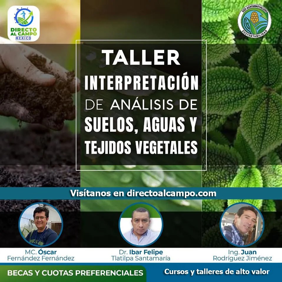 Interpretación de Análisis de Suelo, Agua y Tejidos Vegetales para el diseño de programas de nutrición Vegetal utilizando Excel Interpretación de Análisis de Suelo, Agua y Tejidos Vegetales para el diseño de programas de nutrición Vegetal utilizando Excel