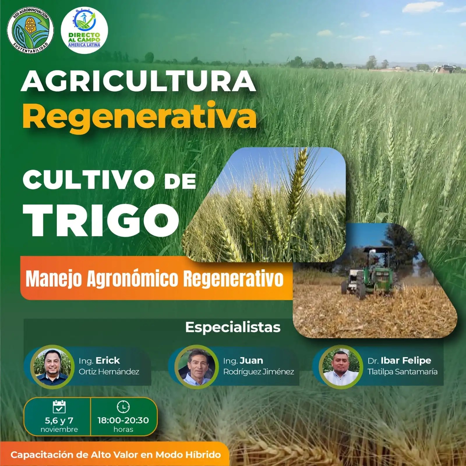 Cultivo de Trigo – Manejo Agronómico Regenerativo Cultivo de Trigo – Manejo Agronómico Regenerativo