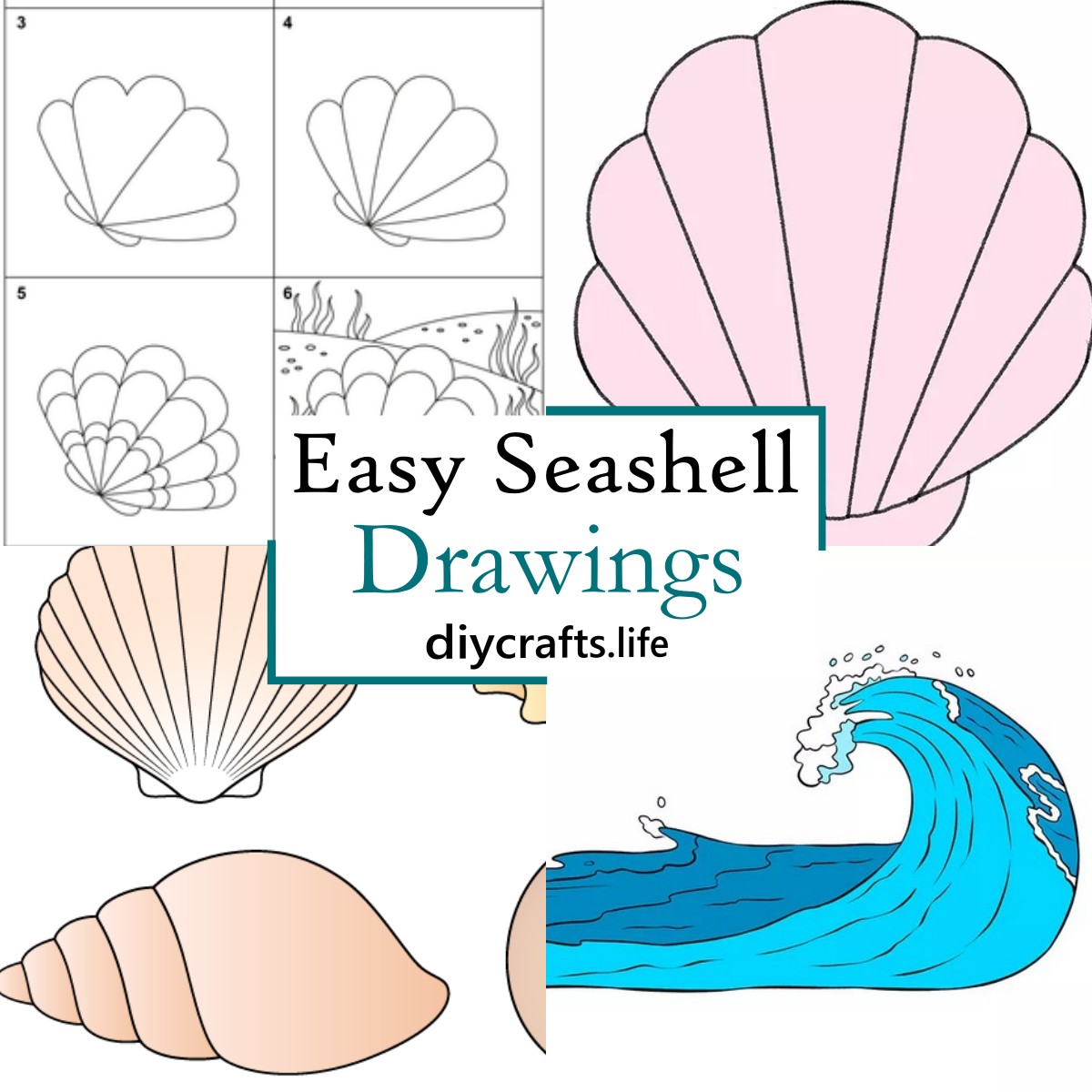 Top 32+ Background Images how to draw a sea shell easy Sharp