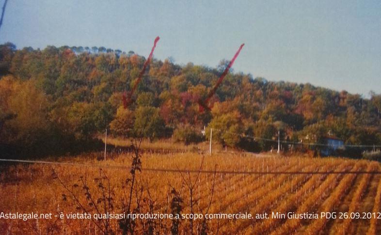 Asta giudiziaria Terreno STR. VICINALE CORCIANO, 06073 Corciano PG