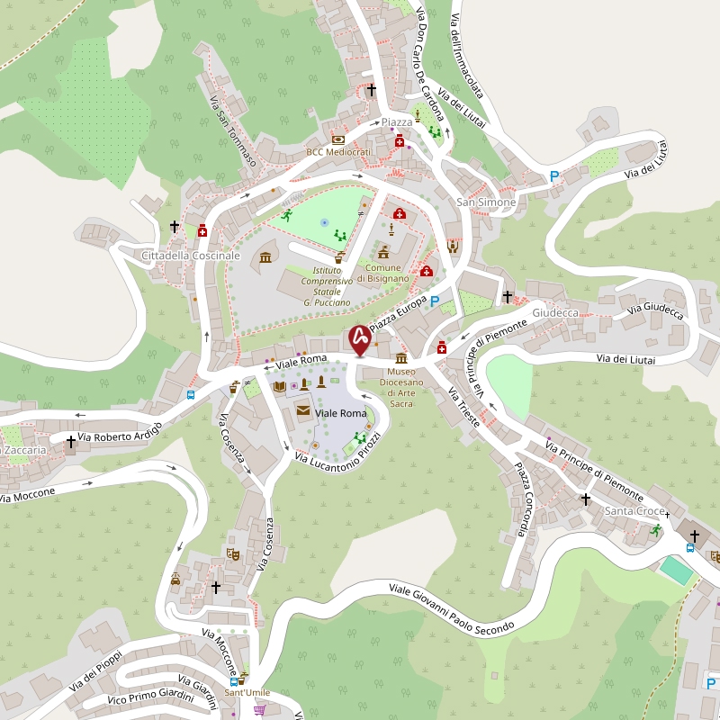 Asta giudiziaria Terreno Contrada Valle Cupo , Snc 87043 Bisignano CS