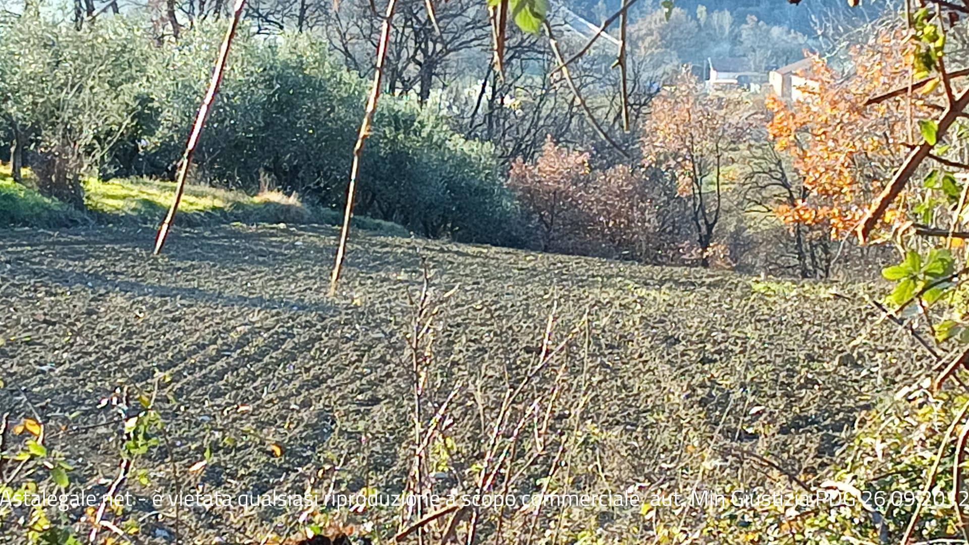 Asta giudiziaria Terreno Contrada Trosciano Superiore 65010 Farindola PE Italia, Farindola PE