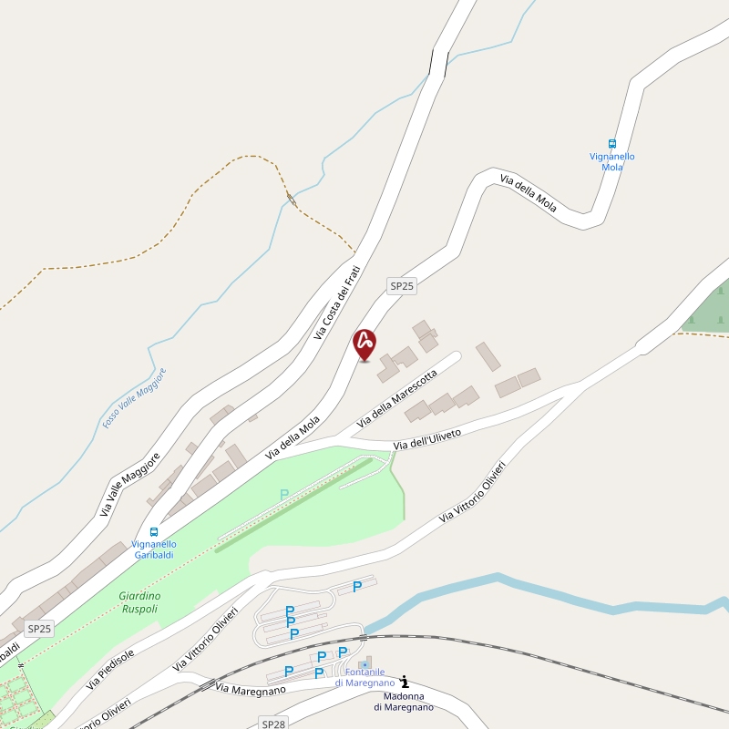 Asta giudiziaria Abitazione di tipo civile Via Della Mola, 56 01039 Vignanello VT