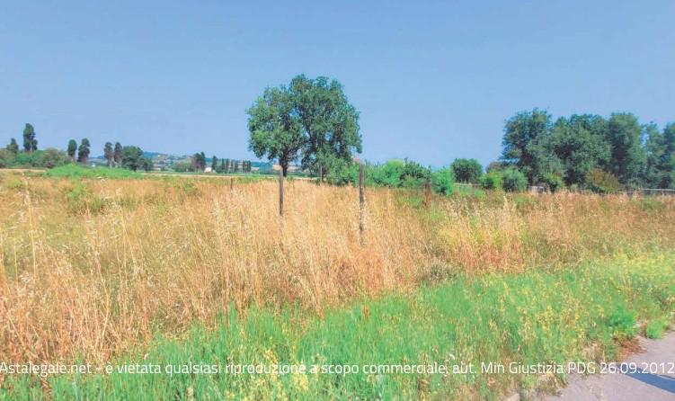 Asta giudiziaria Lotto edificabile Via C. Peruzzi 62017 Lido Santa Maria In Potenza MC Italia, 62017 Porto Recanati MC