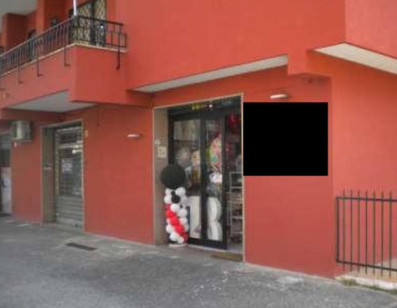 Asta giudiziaria Fabbricato commerciale Viale Manzoni 12 00040 Pomezia RM Italia, Pomezia RM