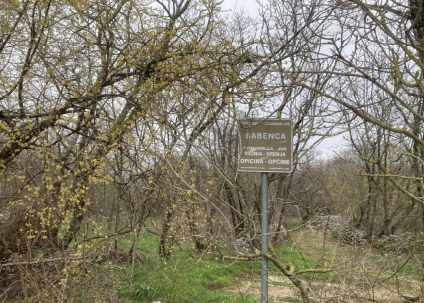 Asta giudiziaria Terreno Localita’ VILLA OPICINA, 34151 Trieste TS