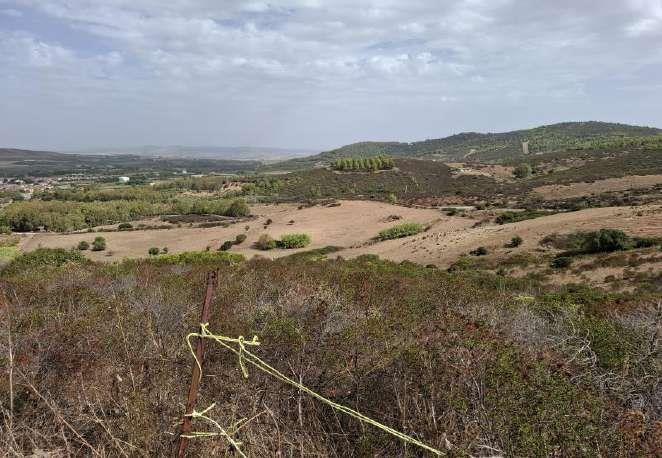 Asta giudiziaria Terreno Via Su FenugraxiuLocalità Corte Aurelia 09040 Barrali SU Italia, 09040 Barrali SU