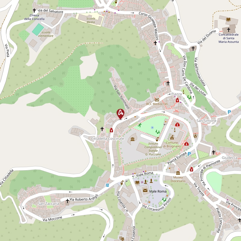 Asta giudiziaria Abitazione di tipo civile via Vico San Tommaso 1, 87043 Bisignano CS