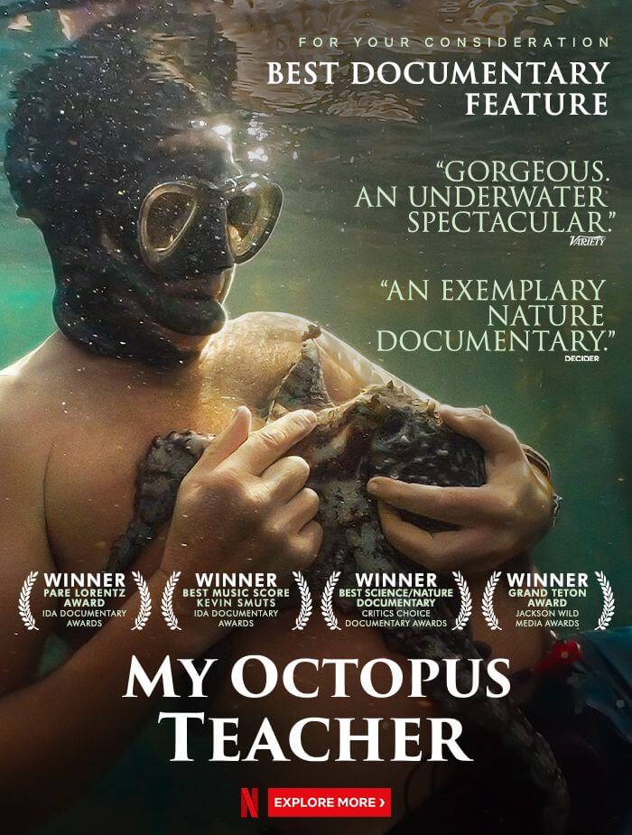 Arhive Film Documentar Doi Calatori
