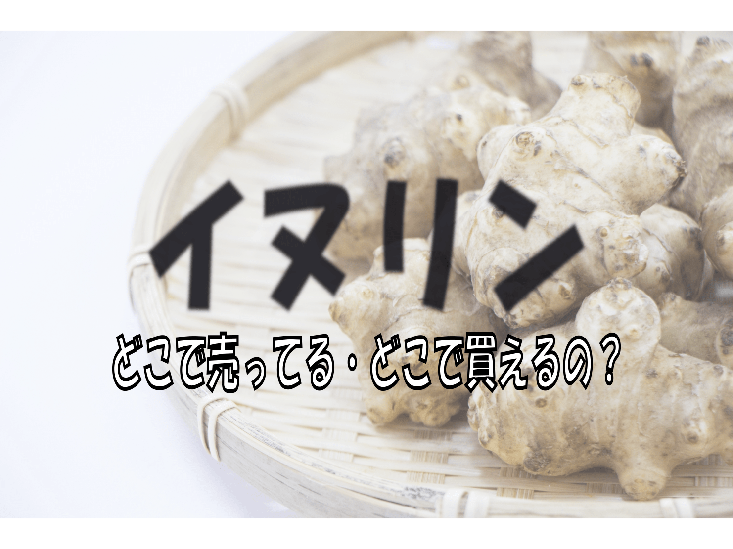 イヌリン どこで 売っ てる