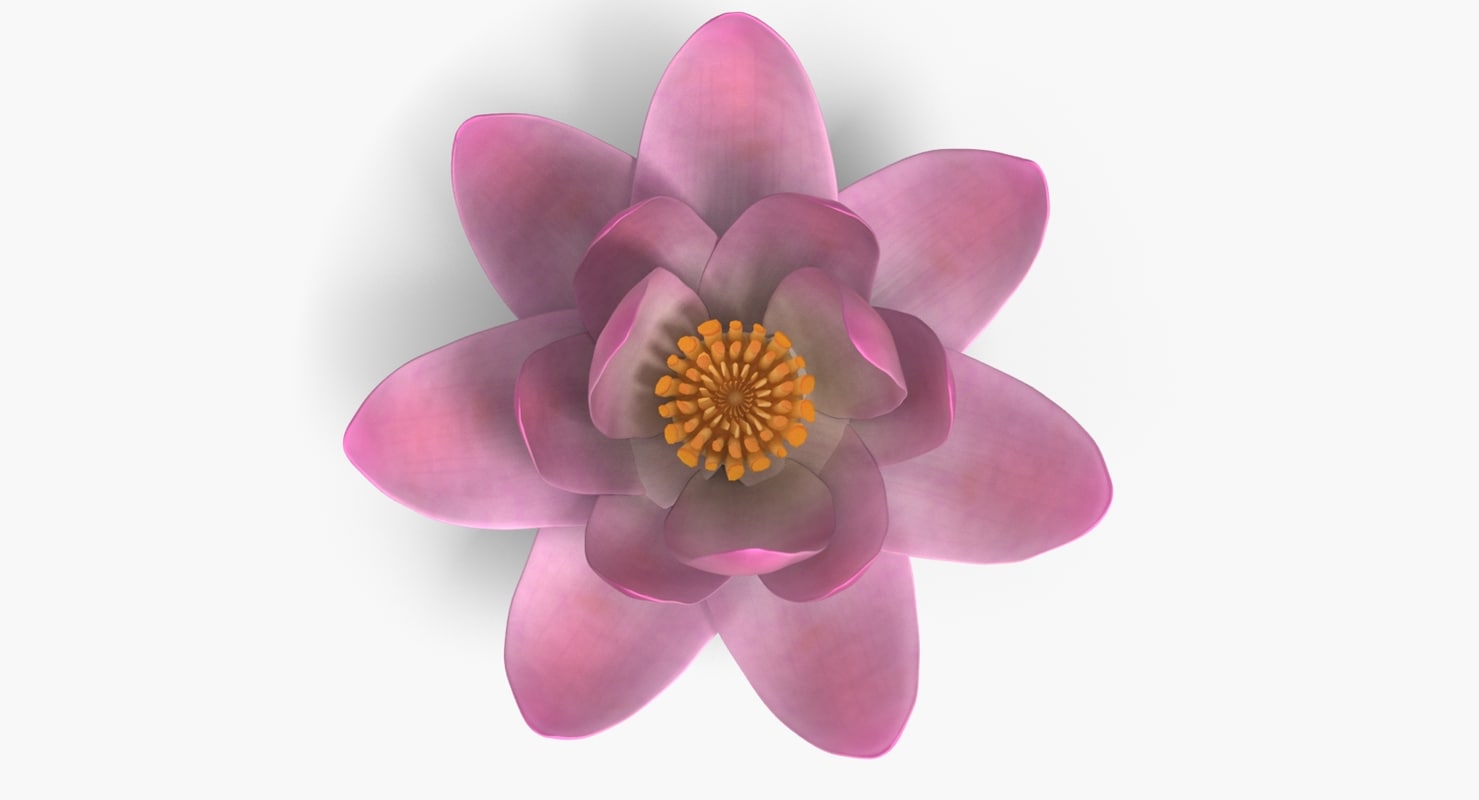 Lotus 3d Model Download For Free