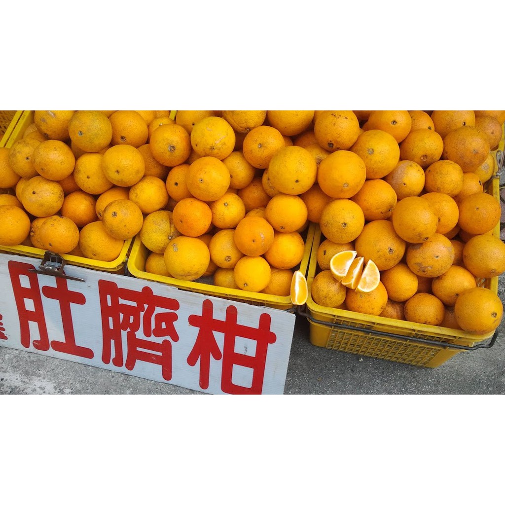 堪稱全台橙界之王的「肚臍橙」‼台東肚臍柑、臍橙(財丁) ~~新鮮現摘~~通通免運~~一箱10台斤