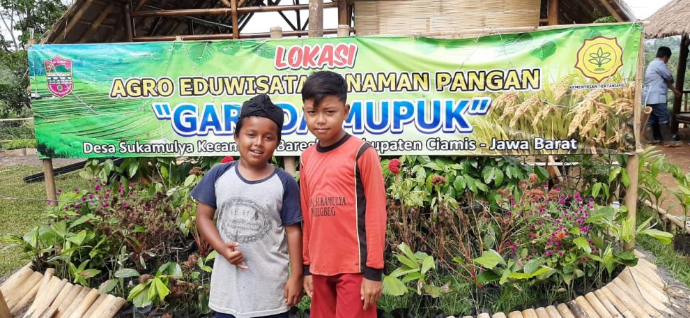 Kelompok Tani Harapan Laksana 3 Bangun Agroeduwisata Pertanian - DPKP  Kabupaten Ciamis