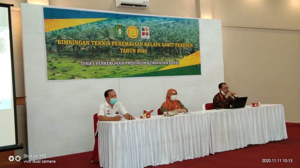 Dinas Perkebunan Provinsi Kalbar Adakan Bimbingan Teknis Peremajaan Kelapa  Sawit Pekebun di Kabupaten Sanggau - DISBUNNAK