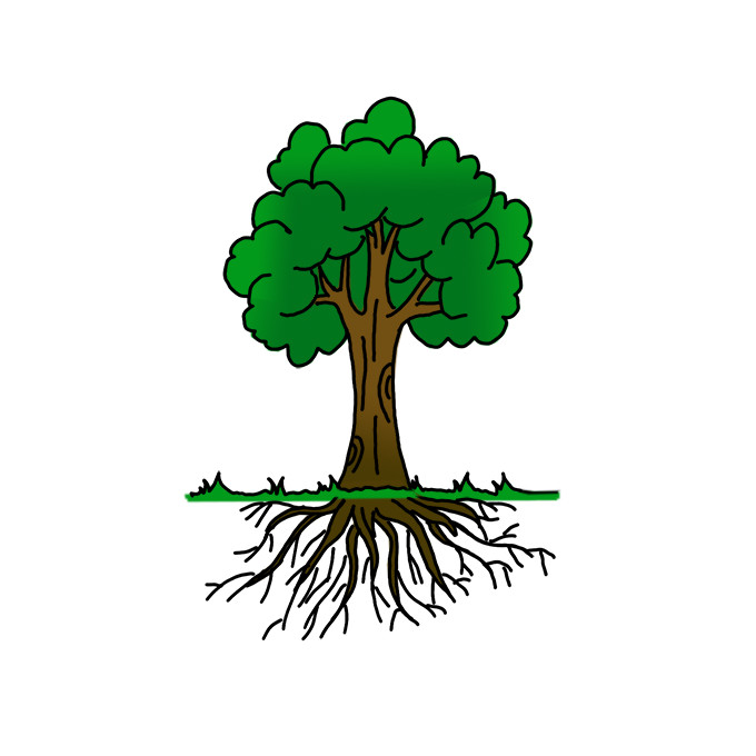 Collection 32+ Background Images how to draw a tree with roots Sharp
