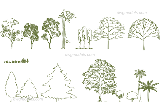 Trees 3 Dwg Free Cad Blocks Download