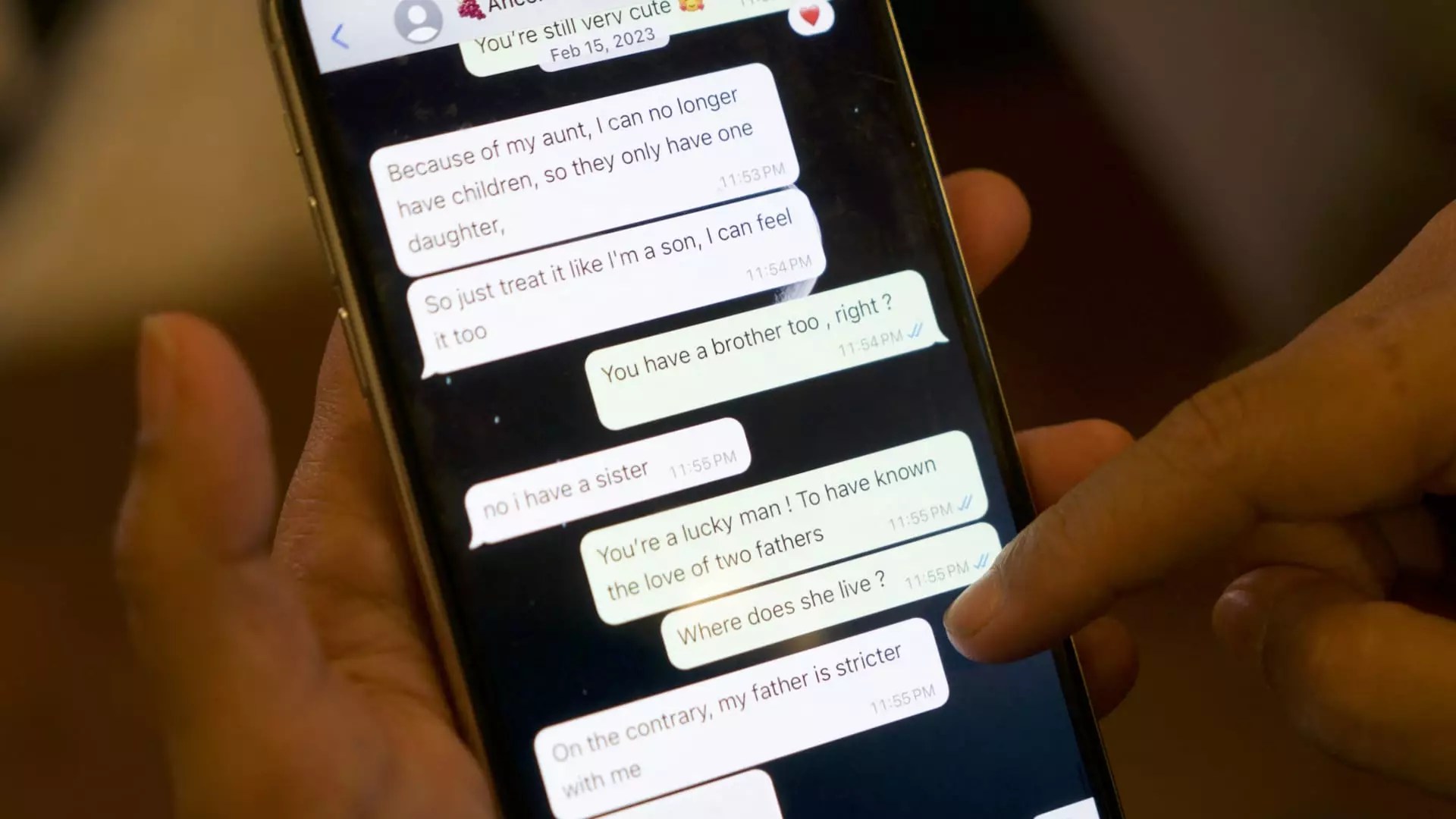 The Rise of Pig Butchering Scams in the United States