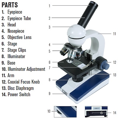 Different Types Of Microscope Best Microscope For College Students