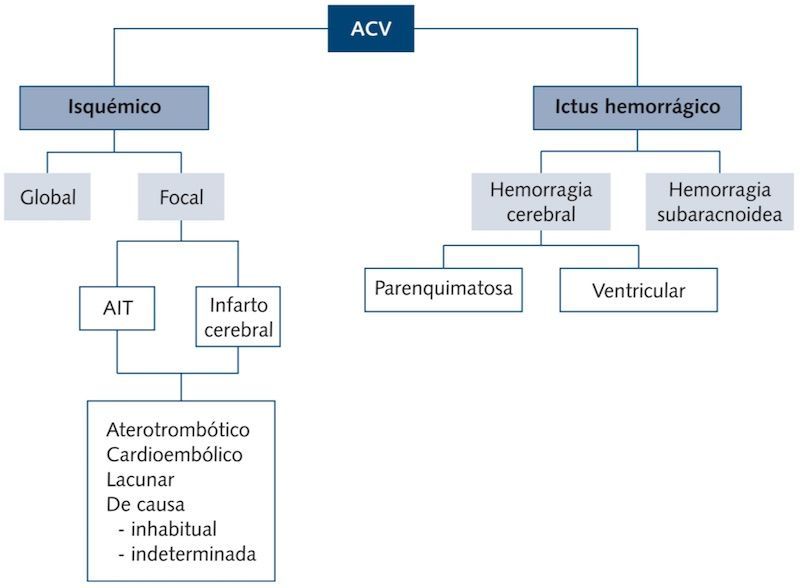 Conceptos Basicos Del Ictus