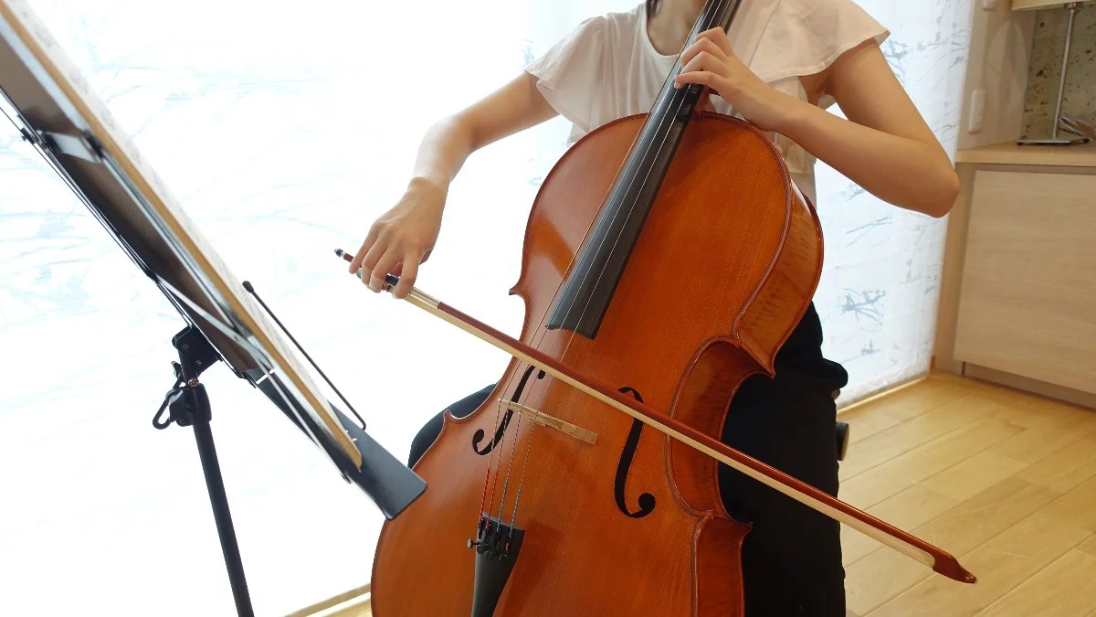 チェロの音域や大きさ、楽器としての魅力と特徴を初心者向けに解説 | edy music