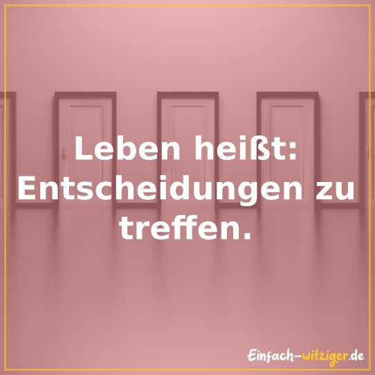 Leben Heisst Entscheidungen Treffen Einfach Witziger De