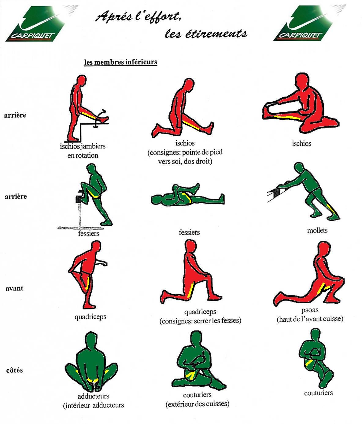 Étirements ischios et psoas