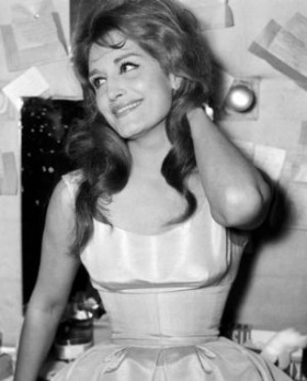 Dalida Les Annees Vinyl