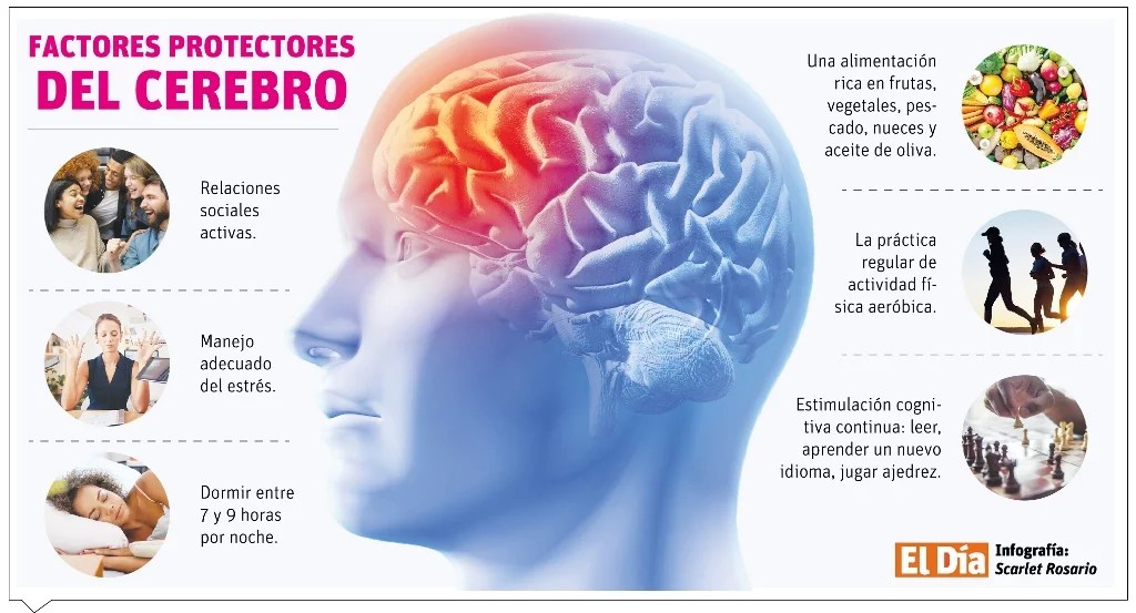 Cuidar el cerebro: clave para una vida saludable y productiva