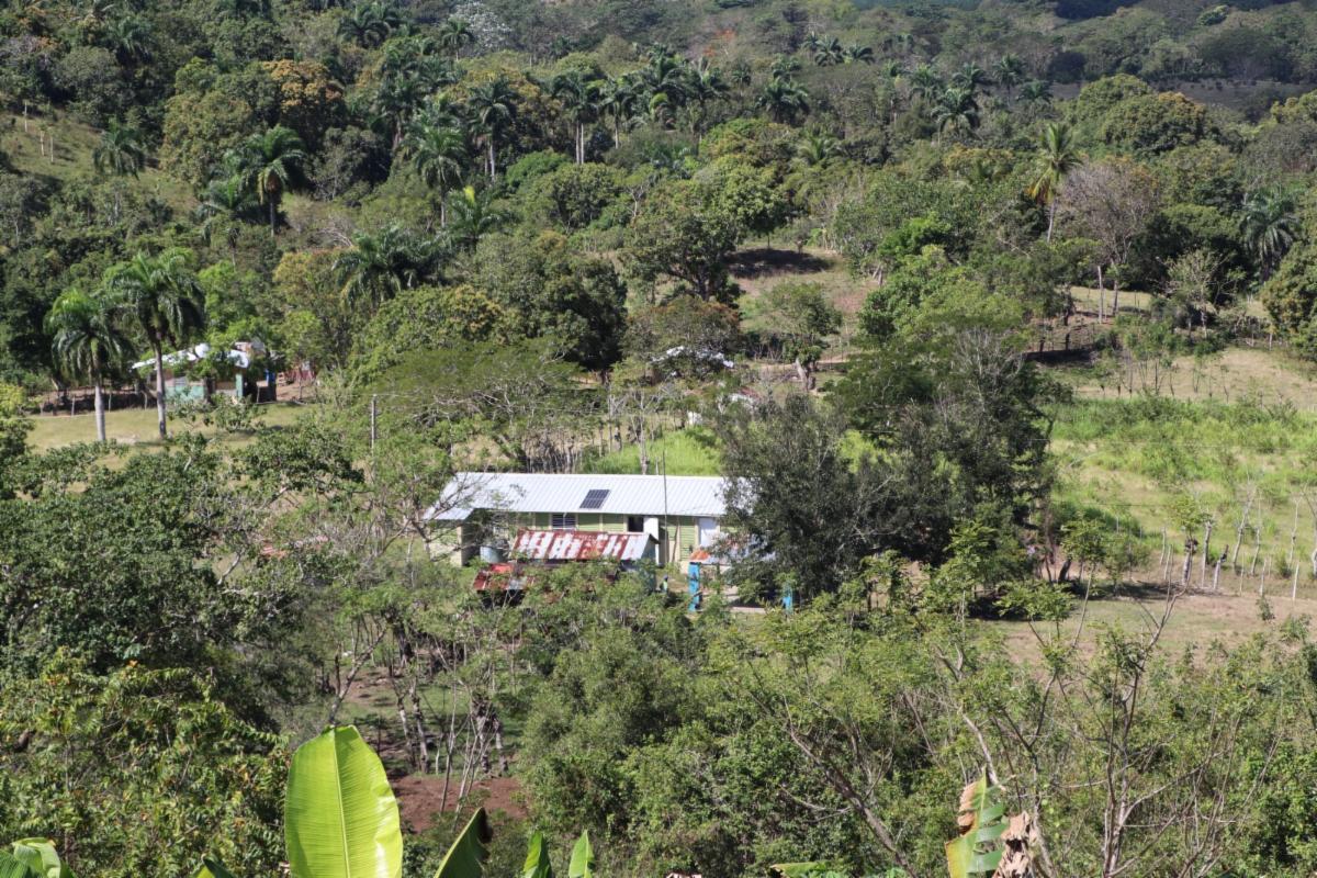 Medio Circunstancia y PPS-PNUD abren convocatoria para proyectos comunitarios ambientales