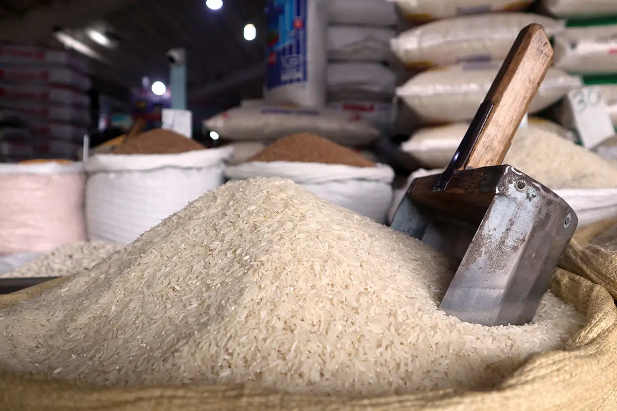 RD produce uno de los arroces de maduro calidad mundial